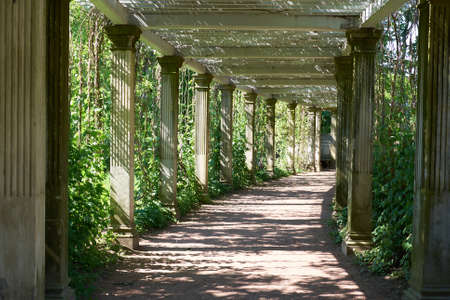 St. Petersburg Catherine Park Colonnadeの写真素材