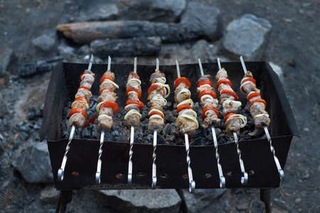 Barbecue grill skewers of meat on the brazier