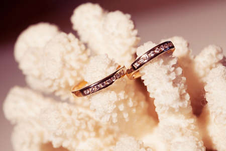 Wedding rings on a pink coralの写真素材