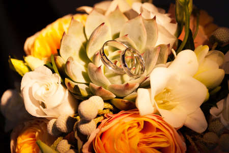 Wedding rings on succulentsの写真素材