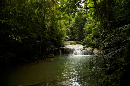 Waterfall in the rainforestの写真素材