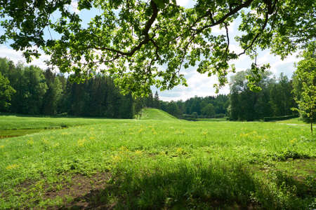 Beautiful landscape in Pavlovsk park. Saint Petersburgの写真素材