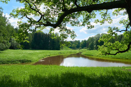 Beautiful landscape in Pavlovsk park. Saint Petersburgの写真素材