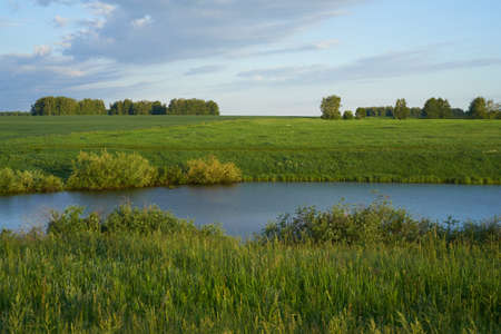 Green meadow with lake and hillsの写真素材