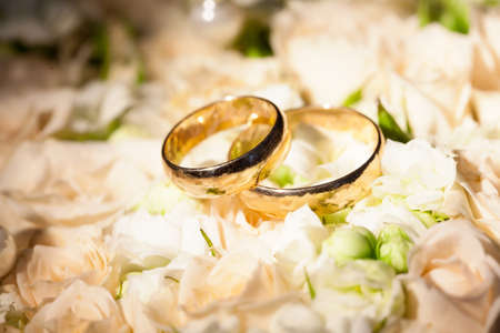 Wedding rings on flower of rose.の写真素材