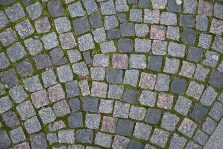Textured pavers, St Petersburg, Russia