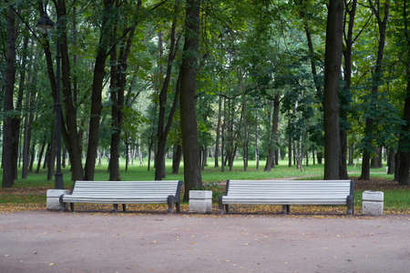 White bench in the park of victory. Petersburgの写真素材