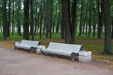 White bench in the park of victory. Petersburgの写真素材