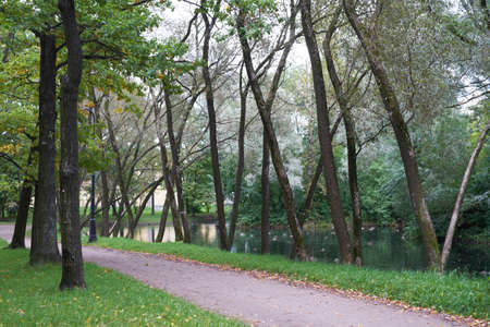 Alley in park of victory. Petersburgの写真素材