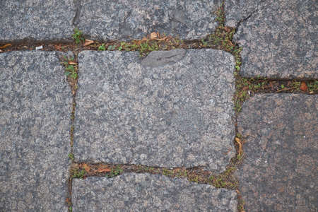 Cobbled pavement in the center Petersburg.の写真素材