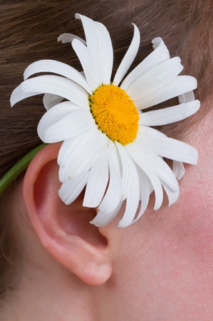 A girl with a daisy behind earの写真素材