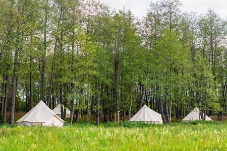 Group of canvas bell tents at forest