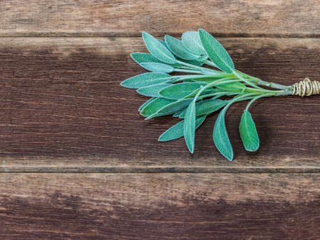 sage leaves viewed from above with wooden table backgroundの写真素材