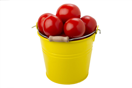 Tomatoes in the yellow bucket isolated on the white backgroundの写真素材