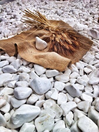 Wheat and white stonesの素材