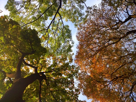 SummerAutumn の素材