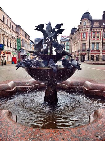 Pigeons siting on the fountainの素材