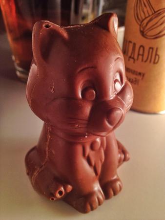 Chocolate kittyの写真素材