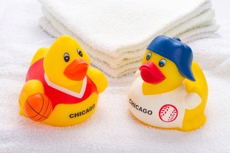 Duck toysの素材