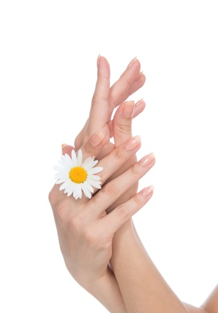 Beautiful woman hands french manicure with camomile flower on fresh towel isolated on a white backgroundの写真素材