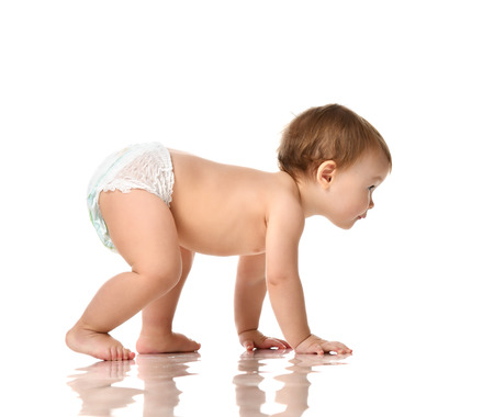 10 month infant child baby  girl toddler crawling in diaper isolated on a white backgroundの写真素材