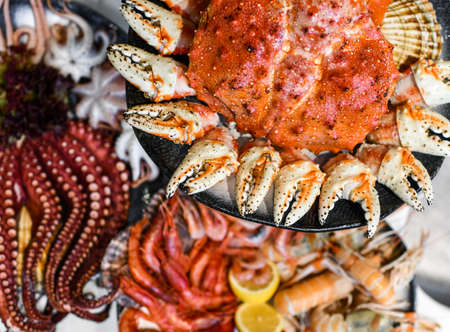 Closeup of variety of seafood. Crab in bowl, shrimps, octopus cephalopod, oystersの写真素材