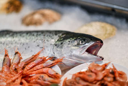 Closeup of fresh tasty trout on ice decorated with shrimps on a plates