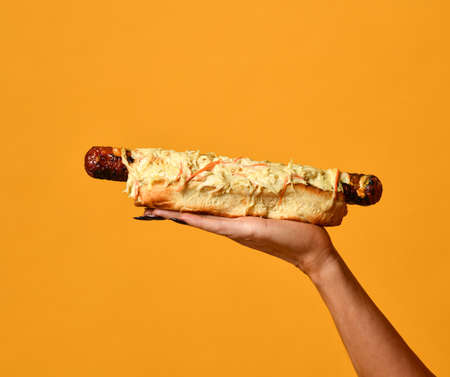 Hot dog with homemade beer grilled sausage, mustard, ketchup, cabbage on woman hand on yellow orange background. Fast foodの写真素材