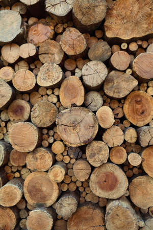 Old teak wood stumps with cracks and annual rings
