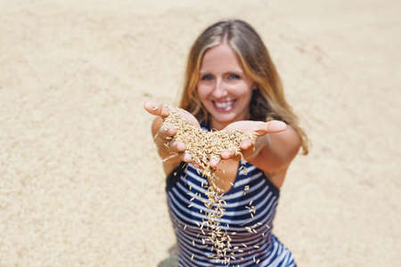 Woman with handful of rough unmilled rice grains in hands on background of drying crop of raw rice. Agriculture, asian cereal plants, food producing and export farm nutrition ingredients in Indonesiaの写真素材