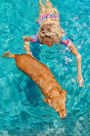 Funny photo of sunbathing woman playing with dog and training dog puppy in swimming pool with blue water. Popular dog breeds, outdoor activity and fun games with family pet on summer beach holiday.の写真素材