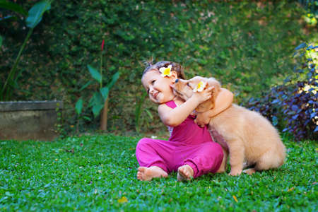 Funny photo of happy baby hugging beautiful golden labrador retriever puppy. Girl play with dog. Family lifestyle, positive emotions of children fun games with home pet on summer vacation. Funny photo of happy baby hugging beautiful golden labrador retriever puppy. Girl play with dog. Family lifestyle, positive emotions of children fun games with home pet on summer vacation.