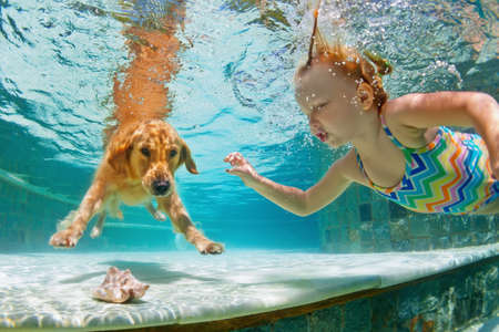 Underwater action. Smiley child play with fun, training golden retriever puppy in swimming pool - jump and dive. Active water games with family pet, popular dog breed like companion on summer vacationの写真素材