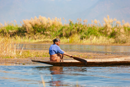 Inle Lake, Myanmar - January 04, 2007: Burmese old woman traveling by rowing long boat from work at traditional floating garden to her village near Nyaungshwe Township on Inle lake, Shan state.のeditorial素材