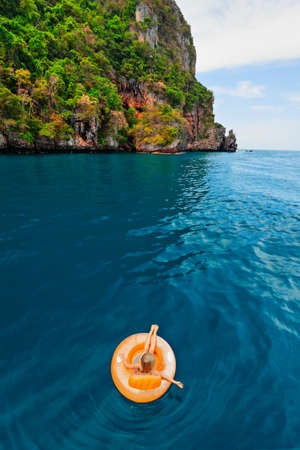 Photo of happy child swimming with fun on inflatable floating ring in sea water pool. Family travel...