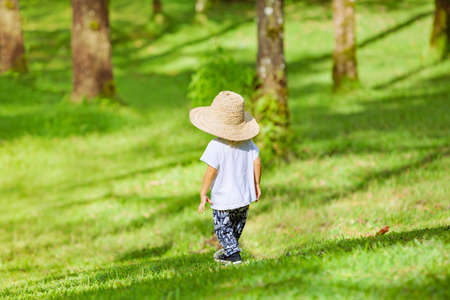 Little baby boy in large straw hat. Active child walking in the park . Family lifestyle, outdood activities, summer holidays with kids.の写真素材