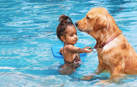 Little child play with fun, train golden labrador retriever puppy in swimming pool. Kids games with family pets. Popular dog breeds like companion.の写真素材