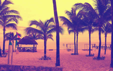 Beachfront viewの素材