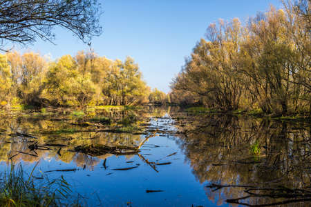 Untouched scenery at late autumn inside national natural reserve Apali in south Slovakia .の写真素材