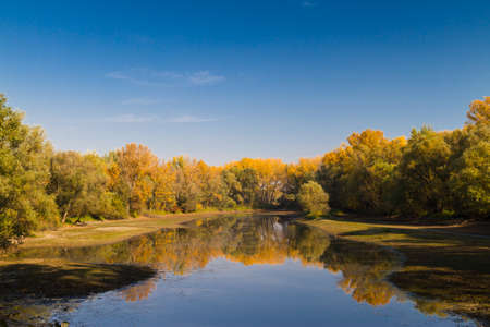 Autumn lake scenery inside Natural reserve in South Slovakia.の写真素材