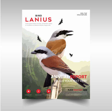 Poster design. Lanius Bird, with colorful bird background, with photorealistic vector imageのイラスト素材