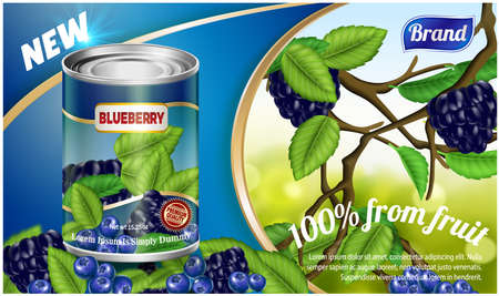 Blueberry product packaging labels. poster, brochure, food product designのイラスト素材
