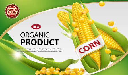 Corn product packaging labels. poster, brochure, food product designのイラスト素材