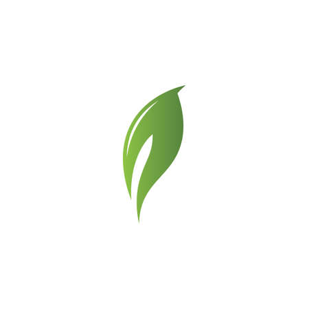 Green leaf logo vector  natural iconのイラスト素材