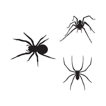 Spider logo icon illustrationのイラスト素材