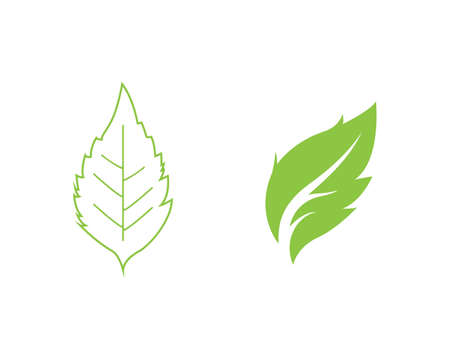 Green leaf ecology logo templateのイラスト素材