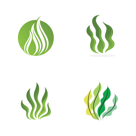 seaweed sea of nature logo vector illustration designのイラスト素材