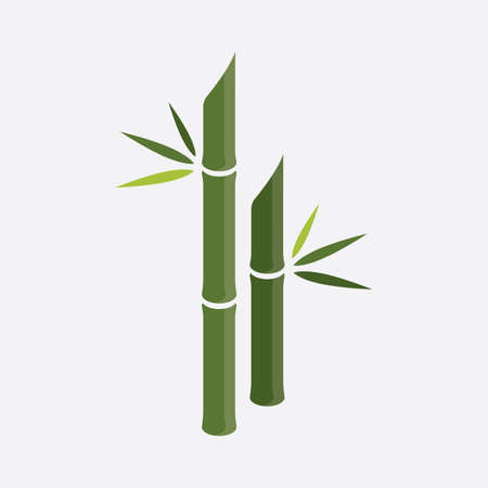 Green Bamboo Logo, vector illustration Designのイラスト素材