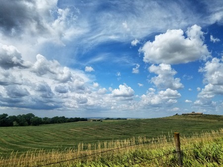 green field and blue sky background.