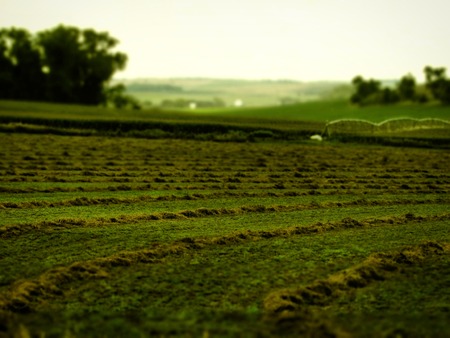 Green field landscape and cloudy day.の写真素材